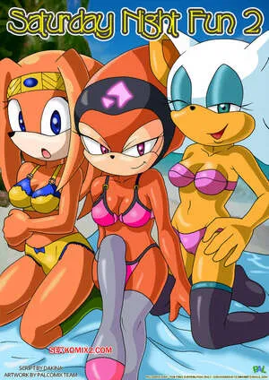 Comics Porno SATURDAY NIGHT Fun – Parte 2 (Palcomix) en Español