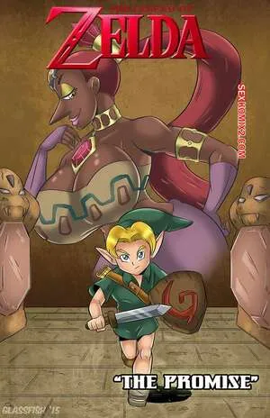 The LEGEND of ZELDA – The Promise (Glassfish)